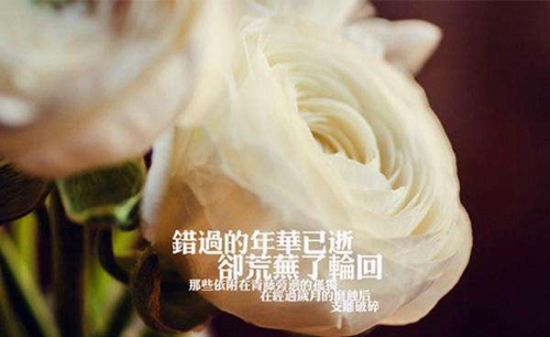男宝宝五行缺木怎么取名