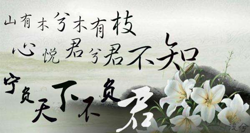 娄姓名字大全