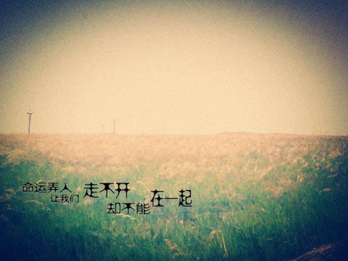 君字取名虎年婴儿搭配什么字比较好