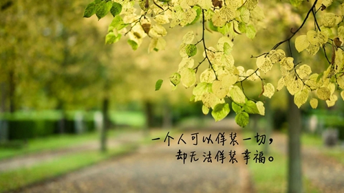 廉兴取名99分