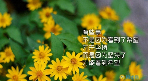 夏姓女孩子取名适合用什么字（属鸡）