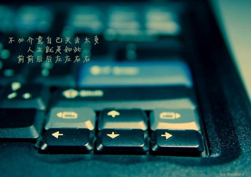 柳伟芷取名93分，柳字取名寓意