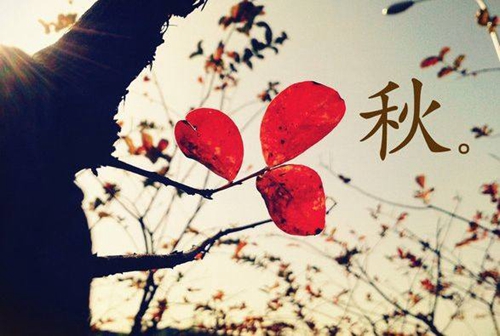 生肖龙娃娃取名纯什么好听