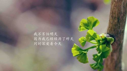 梁姓男新生儿男孩五行缺金取名大全（梁姓宝宝取名男孩）